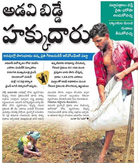 right for forest cultivators ysrrb