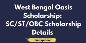 Oasis Scholarship Status Check