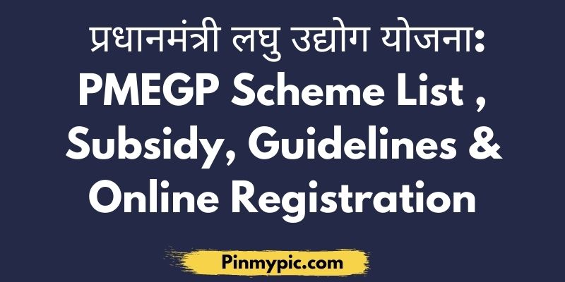 PMEGP Scheme List Subsidy Guidelines Online Registration