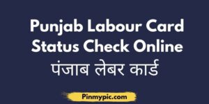 Punjab Labour Card Status Check Online